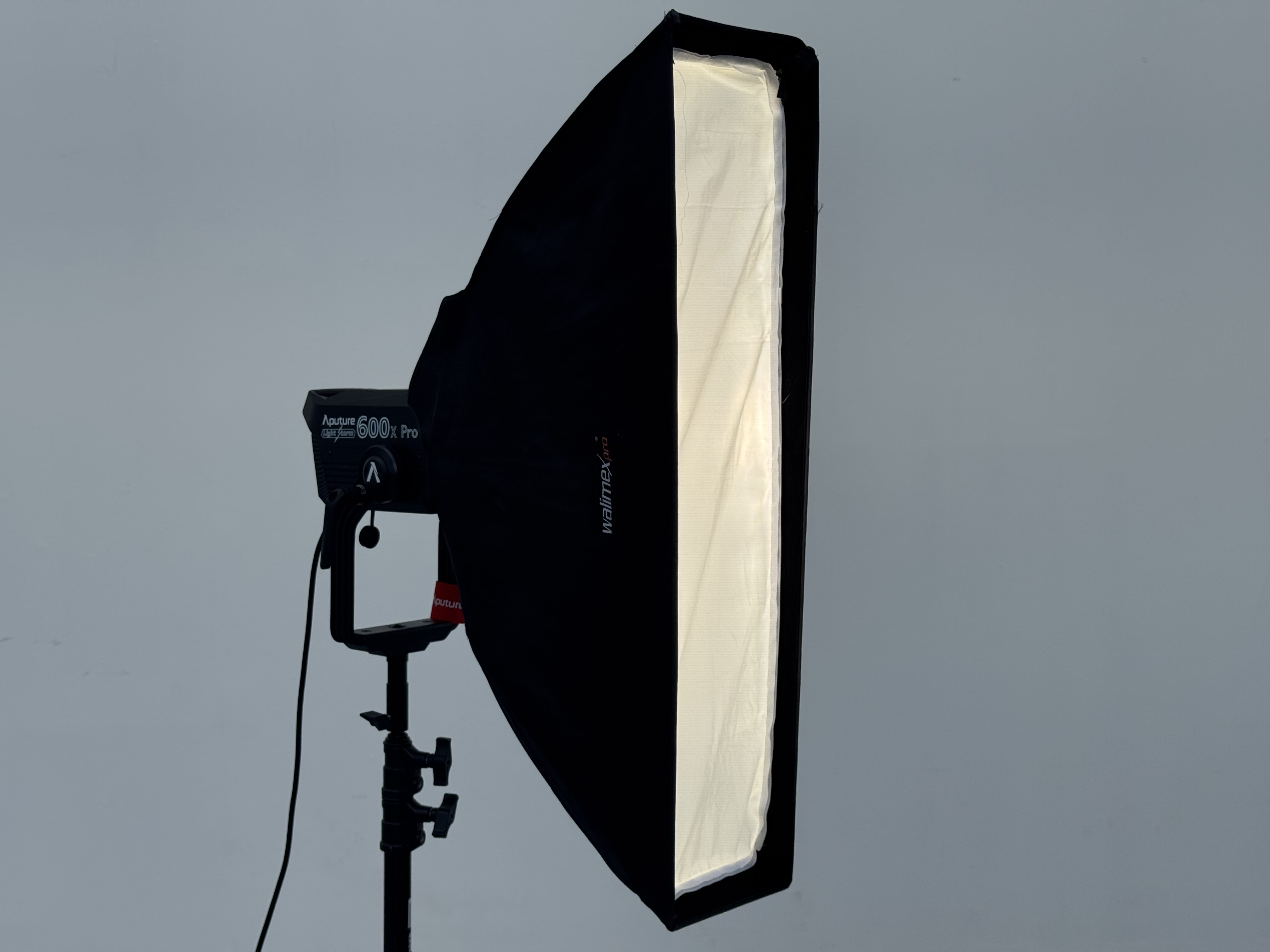 Walimex pro Studio Striplight 22x90